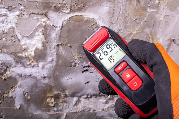 Best Mold Testing  in Wiggins, MS